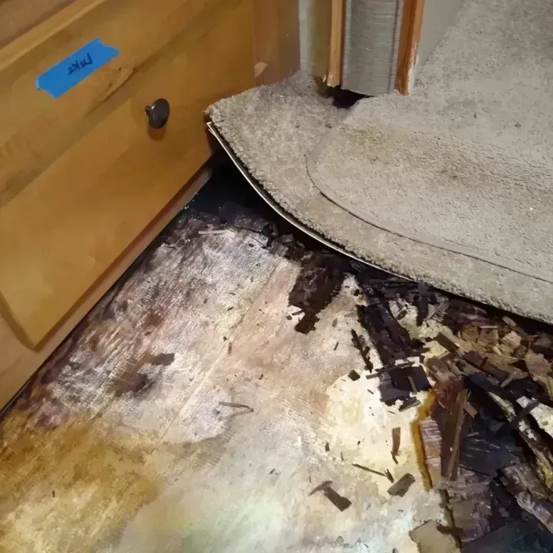 Wood Floor Water Damage in Lake Arbor, MD